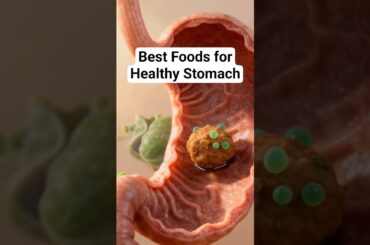 The Best Foods to Eat for a Healthy Stomach #guthealth #stomach