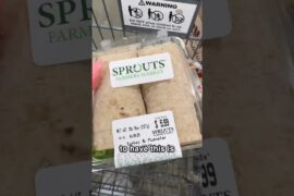 EASY LUNCH IDEAS FOR FAT LOSS SPROUTS