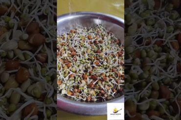 Healthy Breakfast Recipe #food #recipe #cooking