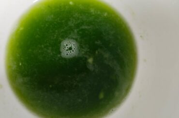 NO ONION GARLIC| SATVIK | PURE VEG. SUMMER SPECIAL HEALTHY LUNCH RECIPE