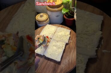 healthy sandwich #viral #food #recipe #fabulous #youtubeshort#yummy