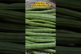 Moringa harvest | Drumstick healthy delicious recipe #moringa #drumsticks #healthy #harvest #ytshort