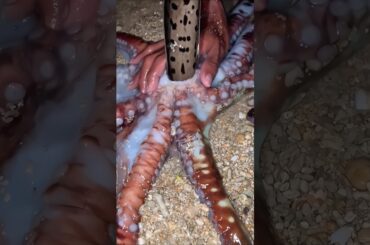 This Morning Routine for Weight Management | Daily Routine for Energy