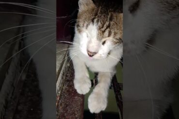 #bollywood #food #cooking #trending @bharatzkitchenHINDI @Imkran01 #trending #funny