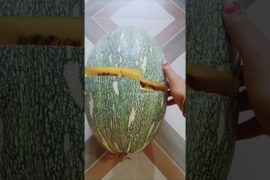 pumpkin ki sabji recipe #food #easyrecipe #cooking #healthy #youtube #homemade #diy #tasty #yummy