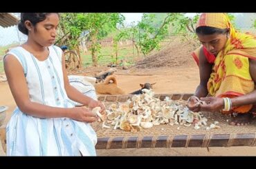 Wild Mushroom Curry | Indian Village Style Healthy Breakfast |