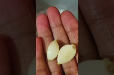 chicken rice for 10+month babies|eshana recipe|healthy lunch #babyshorts #food #healthybabyfoods