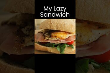 Healthy Food In A Hurry | My Lazy Sandwich