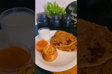 10 minut mein banae testi lauki paratha , perfect breakfast Recipe #ytshorts #madinakitchen #shorts