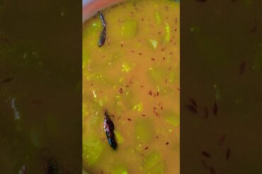 Lau diye mug dal recipe#healthy .