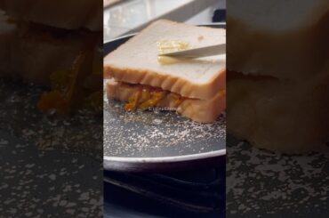 Sandwich for Busy Days | Lunchbox Special