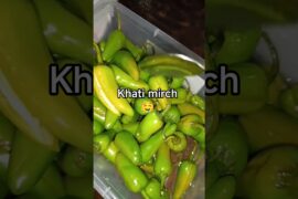 Khati mirch recipe | instant achar recipe #shorts #food #chilies #pickle #ijazansarifoodsecrets