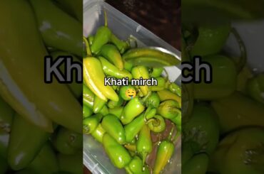 Khati mirch recipe | instant achar recipe #shorts #food #chilies #pickle #ijazansarifoodsecrets