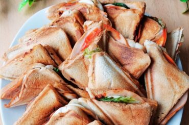 Best Sandwich for Work, Picnic & Travel | Easy Make-Ahead Recipe