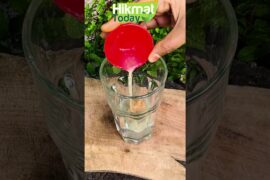 Gond Katira Drink | Super Healthy Drink #hikmattoday #recipe #umarhabibhijamacenter #food #health