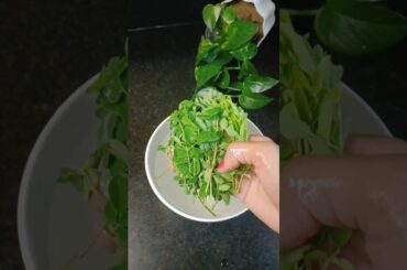 Benefits of Moringa Powder By Vedant Sir #food #recipe #shorts #viral #health #fun