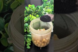 Chickpea Hummus and Cauliflower Steak Recipe#viral#viralvideo #youtubeshorts#food #cauliflowersteak