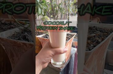 coconut protein shake#viral #youtubeshorts #proteinshake #trending #short #ytshorts #healthyrecipes
