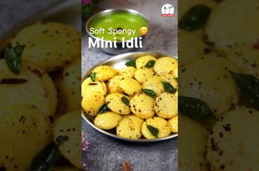 Suji Besan Idli | Soft & Spongy Snack #foodie #indianbreakfast #shorts