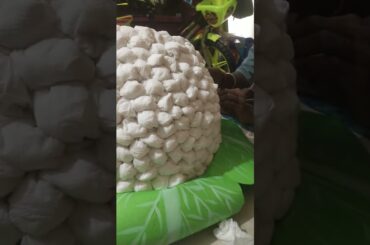 Cauliflower Fancy Dress for my Princess#fancy #dress #school #compitition #vegetables #cauliflower