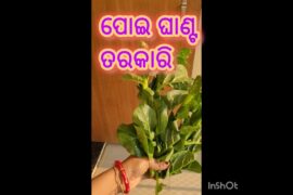 Authentic Odia Poi Ghanta Recipe #OdiaFood #PoiGhanta #HealthyRecipes #VegetarianCurry #HomeCooking