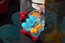 Zero sugar 2 ingredient healthy popsicles