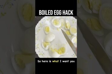 Low calorie peri peri egg hack that works #shorts #diethacks #eggs
