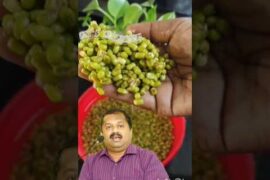 healthy recipes dr sivaraman speech# recipeshortfeed# keralapayarupuzhukkurecipe#lunch& breakfast#
