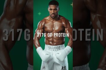 317g PROTEIN DIET