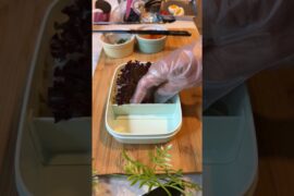 $1 Budget Lunch Ideas #lunchideas #lunchrecipes #food #shortvideo #shorts #delicious #health #budget