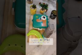 Healthy Lunchbox Ideas #kidslunchbox  #lunchboxideas #lunchboxrecipe #healthylunch #balanceddiet