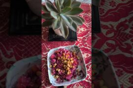 Chickpeas Salad Recipe | Salad recipe | Healthy #shorts #salad #chickpeas #recipe #healthy