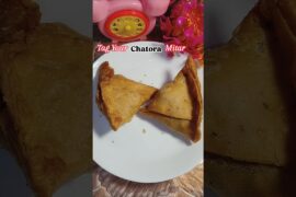 Samosa Chaat #trending #shortsfeed #youtubeshorts #recipe #streetfood #chaat #samosa #healthy