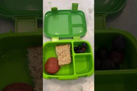 Easy and healthy lunch ideas for kids! #easy #healthy #lunch #lunchbox #quicklunch