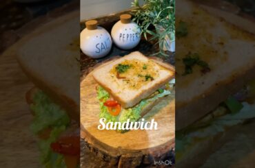 Cheesy sandwich #food #sandwich #cheesysandwich  #easyrecipe #healthyrecipes #cooking #quickrecipe