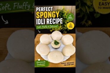 Easy Breakfast Recipe | Soft & Fluffy Perfect Idli #ytshorts #yt #easyrecipe #food #ytshortsindia