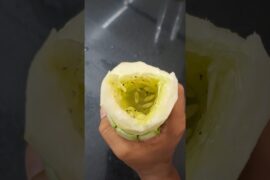#shortvideo #shortsfeed #recipe #salad #saladrecipe #food #foodie #cooking #variety #children #like#