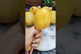 Healthy Breakfast Recipe By Acharya Manish Ji #shortvideo #mango #health #healthtips #fruitchaat