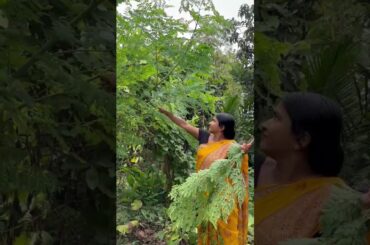 Drumstick Leaves Pakora Recipe | Healthy & Tasty Sahjan Patta Pakodi #moringa #shorts #HealthySnacks