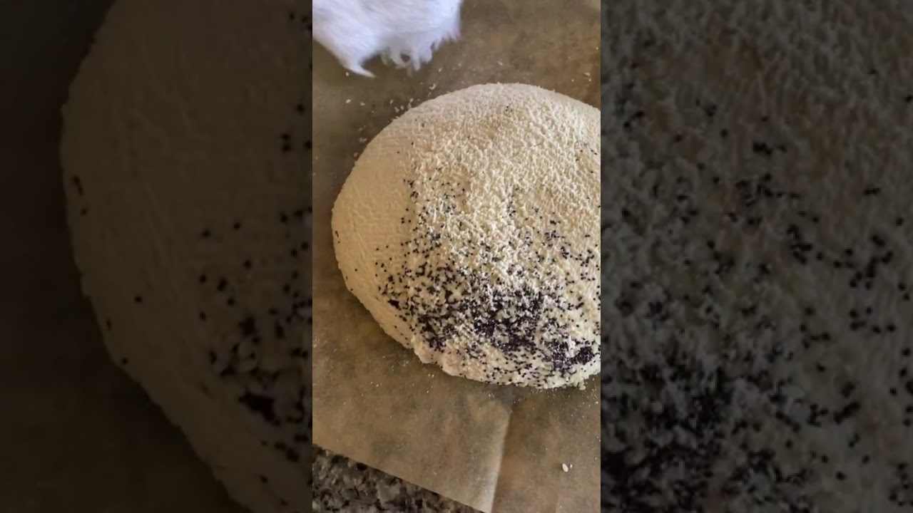 Sourdough bread without any of the tools #chef #tiktokchef… #Shorts #chefjoanna Sourdough bread without any of the tools #chef #tiktokchef... #Shorts #chefjoanna