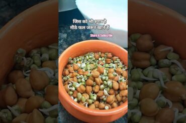 Healthy Breakfast Recipes by Acharya Manish ji #shorts #sproutssaladrecipe #shortvideo #food #moong