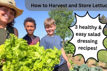 3 Preservative Free Salad Dressing Recipes to Pair With our Homegrown Spring Greens