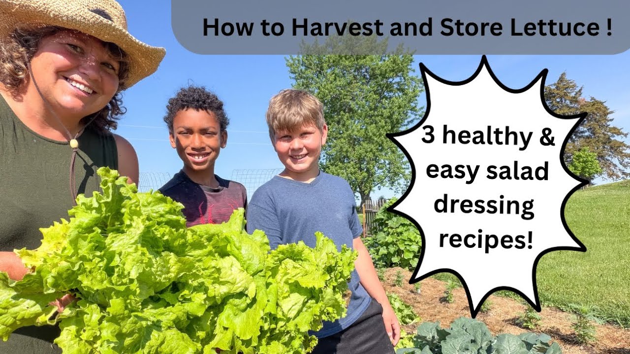 3 Preservative Free Salad Dressing Recipes to Pair With our Homegrown Spring Greens 3 Preservative Free Salad Dressing Recipes to Pair With our Homegrown Spring Greens