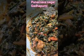 gadha purni saga/Khapari saga#shortsfeed#ytshorts#viral #saga #recipe #odia#food #healthy#medicine