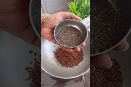 Healthy snacks|Heart Healthy Laddu|Dry fruit Laddu#laddu #shortsfeed#village #food#yummy#viral#sweet