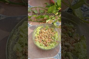 Indian Style Avocado Toast Recipe | Avocado Thecha | Healthy Recipes #avocado