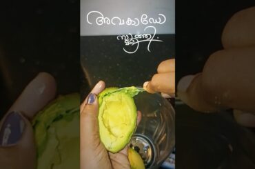 Healthy Avocado Smoothie Recipe | Ready in 5 Minutes