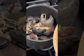 2026 Snail Recipes #viralvideo #yummy #healthy #protein #reels #fyp