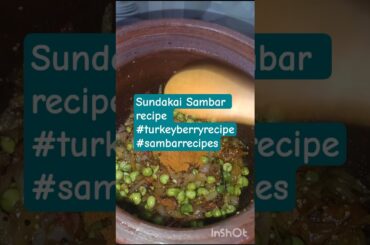 sundakai Sambar #sambarrecipe #healthyrecipes #turkeyberryrecipes #cookingintamil