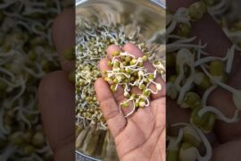 How to Sprouts Moong Dal | Sprouts recipe #healthy #proteinrich #dietfood